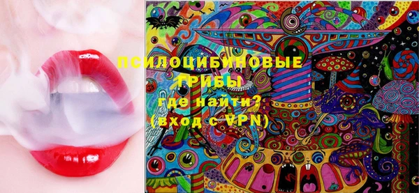 спайс Бикин
