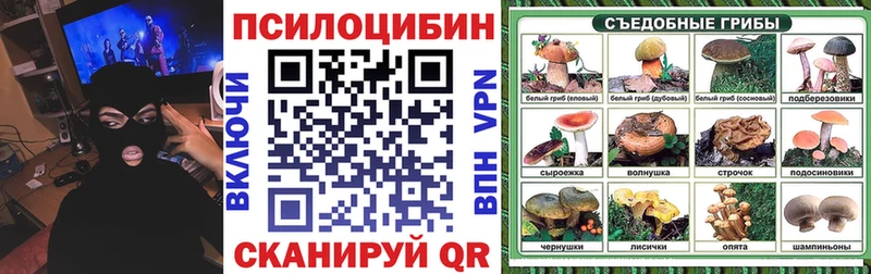 Псилоцибиновые грибы Cubensis  купить закладку  Хотьково 